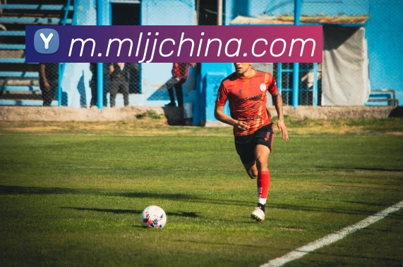 米兰milan官网平台生态图